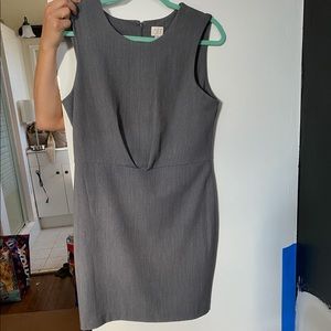 Dress NWOT (a new day)